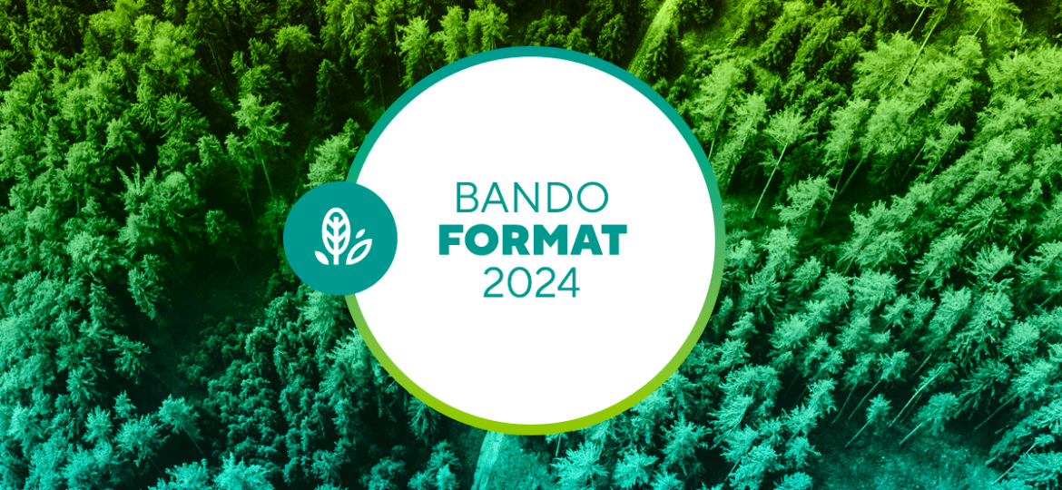 BANDO_FORMAT_2024_web